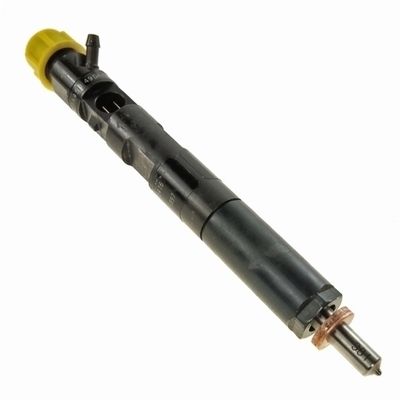 R05101D DELPHI Форсунка RENAULT Serie Clio3, Serie Kangoo2, Serie Megane, Serie Modus, Serie Scenic2, Serie Thalia ENGINE 1.5 DCI