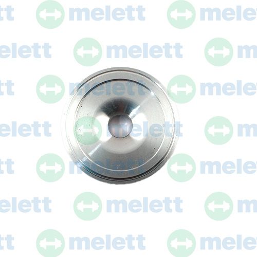 1650-010-302  Ущільнювальна пластина (вставка)  GTDI12V; [B7DA BZJA M0JA]; Ford Fiesta VII, / Focus IV F(1.0)[18-] (Turbo 2291713) MFS / Зворотне обертання H6BG6K682AD H68G6K682AC 2220961, 2800013014380, 4250476216641 12328700