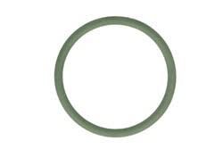 01182790  Ущільнювальне кільце тримача форсунки DEUTZ TCD2012L042V TCD2012L062V